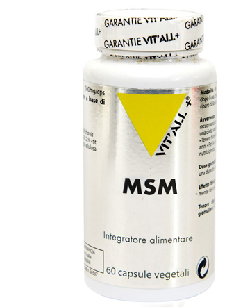 MSM 60 CAPSULE - farmasconti.eu