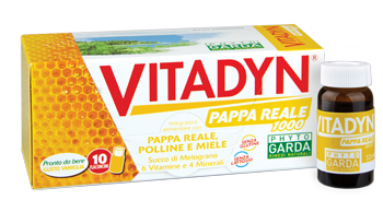 VITADYN PAPPA REALE 1000 10 FLACONCINI 10 ML - farmasconti.eu