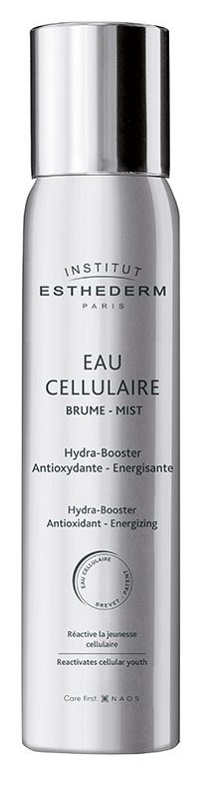 INSTI EAU CELLULAIRE BRUME 100 ML - farmasconti.eu