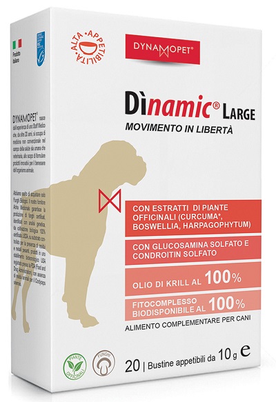 DINAMIC LARGE 20 BUSTINE 10 G - farmasconti.eu