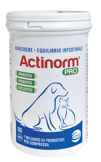 ACTINORM PRO FLACONE 60 COMPRESSE - farmasconti.eu