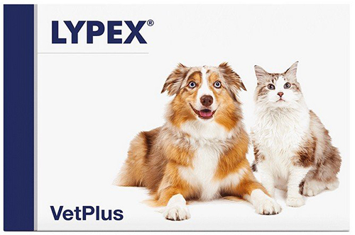 LYPEX 60 CAPSULE - farmasconti.eu