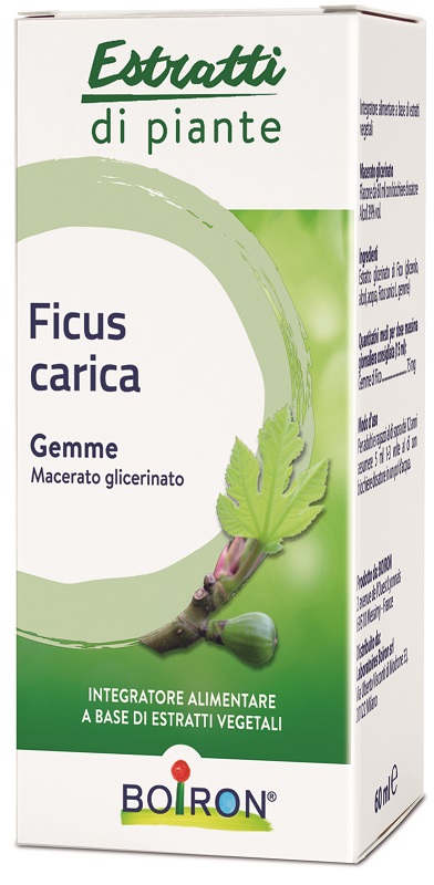 FICUS CARICA BOIRON MACERATO GLICERICO 60 ML - farmasconti.eu