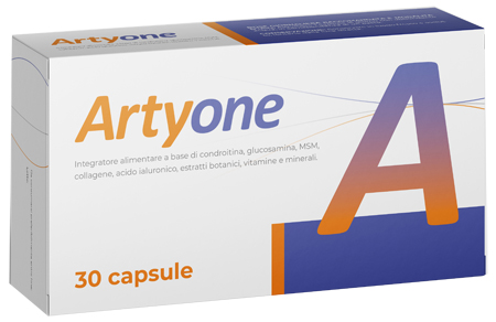 ARTYONE 30 CAPSULE - farmasconti.eu