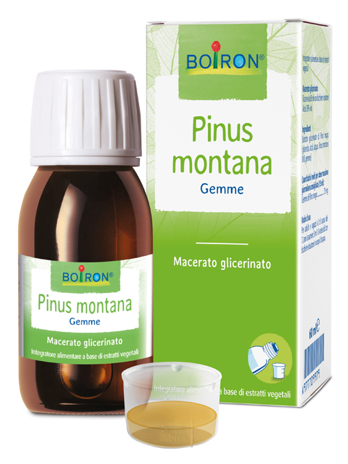 PINUS MONTANA BOIRON MACERATO GLICERICO 60 ML - farmasconti.eu