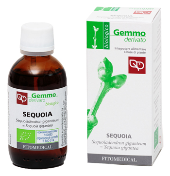 SEQUOIA MACERATO GLICERICO 50 ML BIO - farmasconti.eu