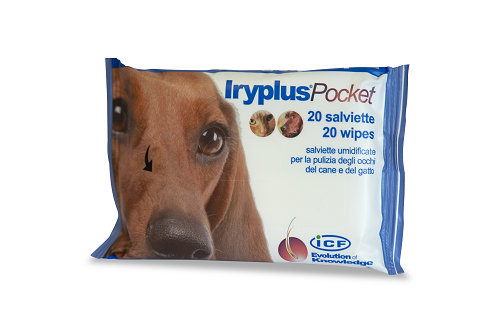 IRYPLUS POCKET SALVIETTINE 20 PEZZI - farmasconti.eu