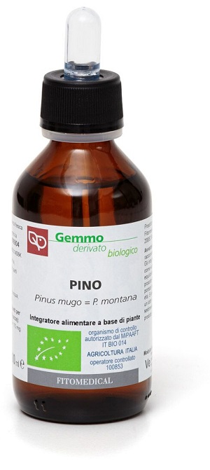 PINO MACERATO GLICERICO 100 ML BIO - farmasconti.eu