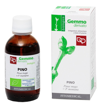 PINO MACERATO GLICERICO 50 ML BIO - farmasconti.eu