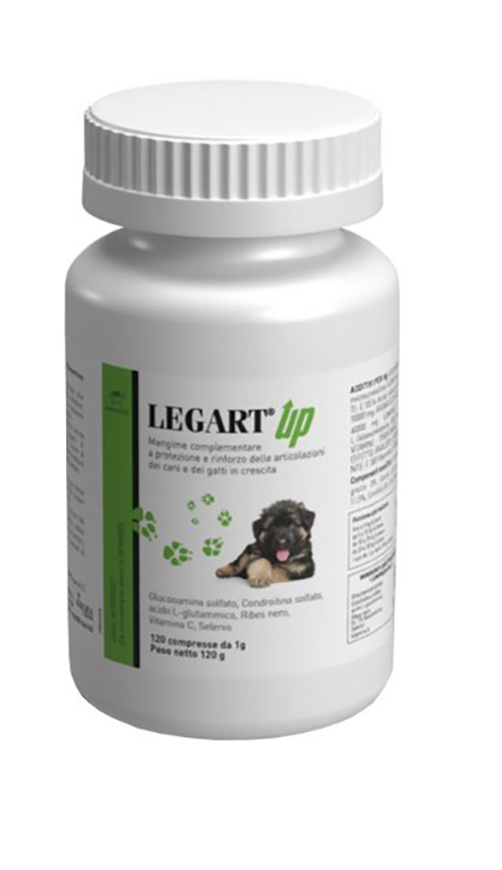 LEGART UP 120 COMPRESSE - farmasconti.eu