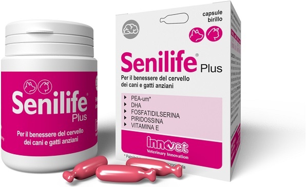 SENILIFE PLUS 60 CAPSULE - farmasconti.eu