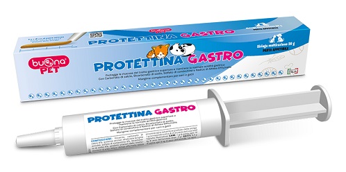 PROTETTINA GASTRO PASTA IN SIRINGA 30 G - farmasconti.eu