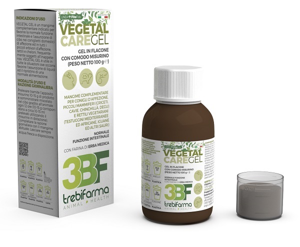 VEGETAL CARE GEL FLACONE 100 G - farmasconti.eu