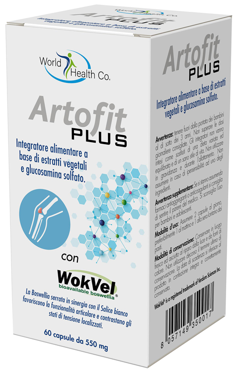 ARTOFIT PLUS 60 CAPSULE - farmasconti.eu