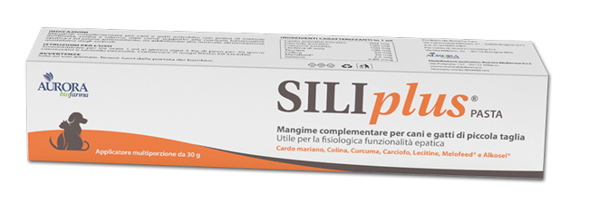SILIPLUS PASTA 30 G - farmasconti.eu
