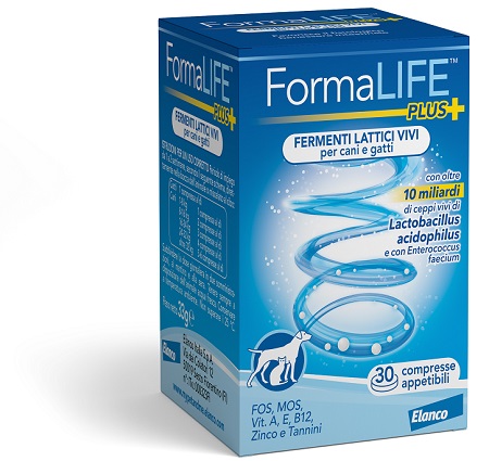 FORMALIFE PLUS FERMENTI LATTICI VIVI 30 COMPRESSE APPETIBILI - farmasconti.eu