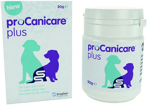 PROCANICARE PLUS 30 G - farmasconti.eu